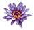 www.indian-tours-operators.com