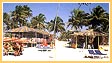 Indian Tours Operators
