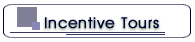 Incentive Tours