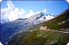 Swiss Splendor