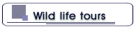 Wild life tours